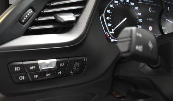 BMW 116d Luxury auto FULL TETTO AP. PELLE RETROCAMERA pieno